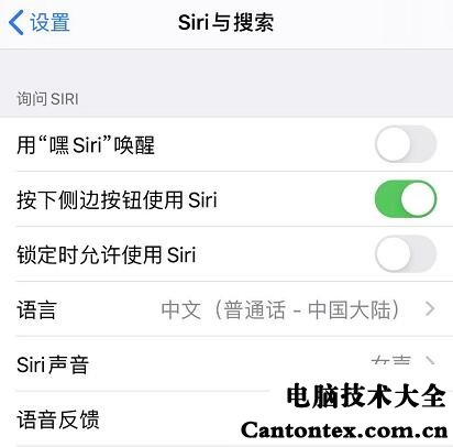 为什么打不开siri唤醒（苹果手机为什么说嘿siri没有反应）(1)